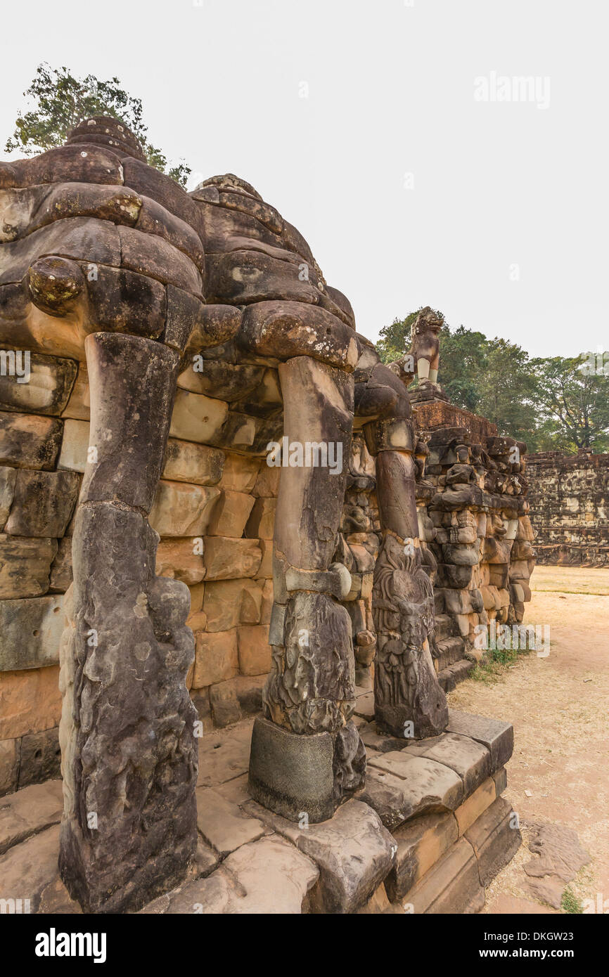 Le Roi éléphant Terrasse dans Angkor Thom, Angkor, Site du patrimoine mondial de l'UNESCO, la Province de Siem Reap, au Cambodge, en Asie du sud-est Banque D'Images