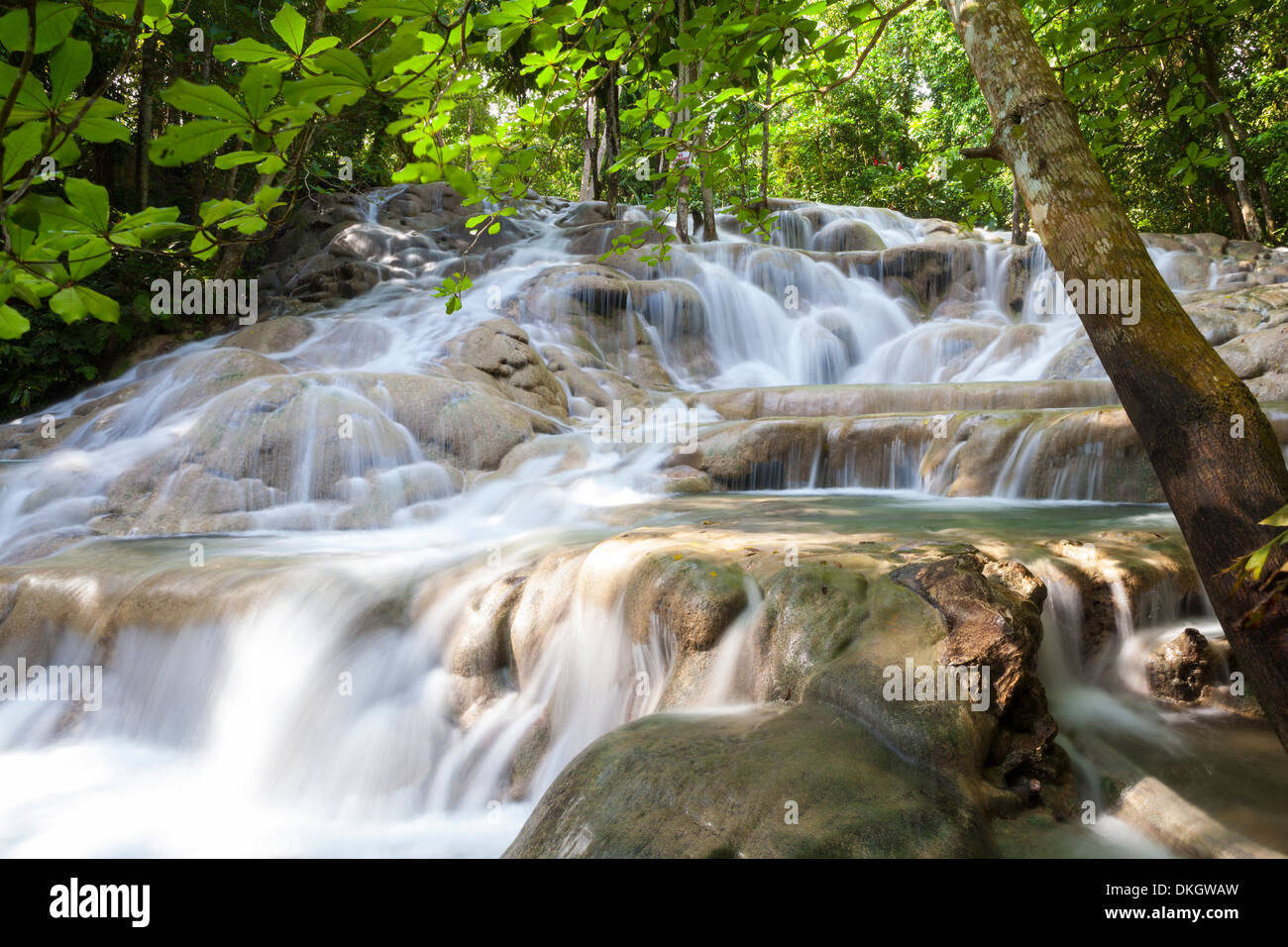 Dunns River Falls, Ocho Rios, Jamaïque, Antilles, Caraïbes, Amérique Centrale Banque D'Images