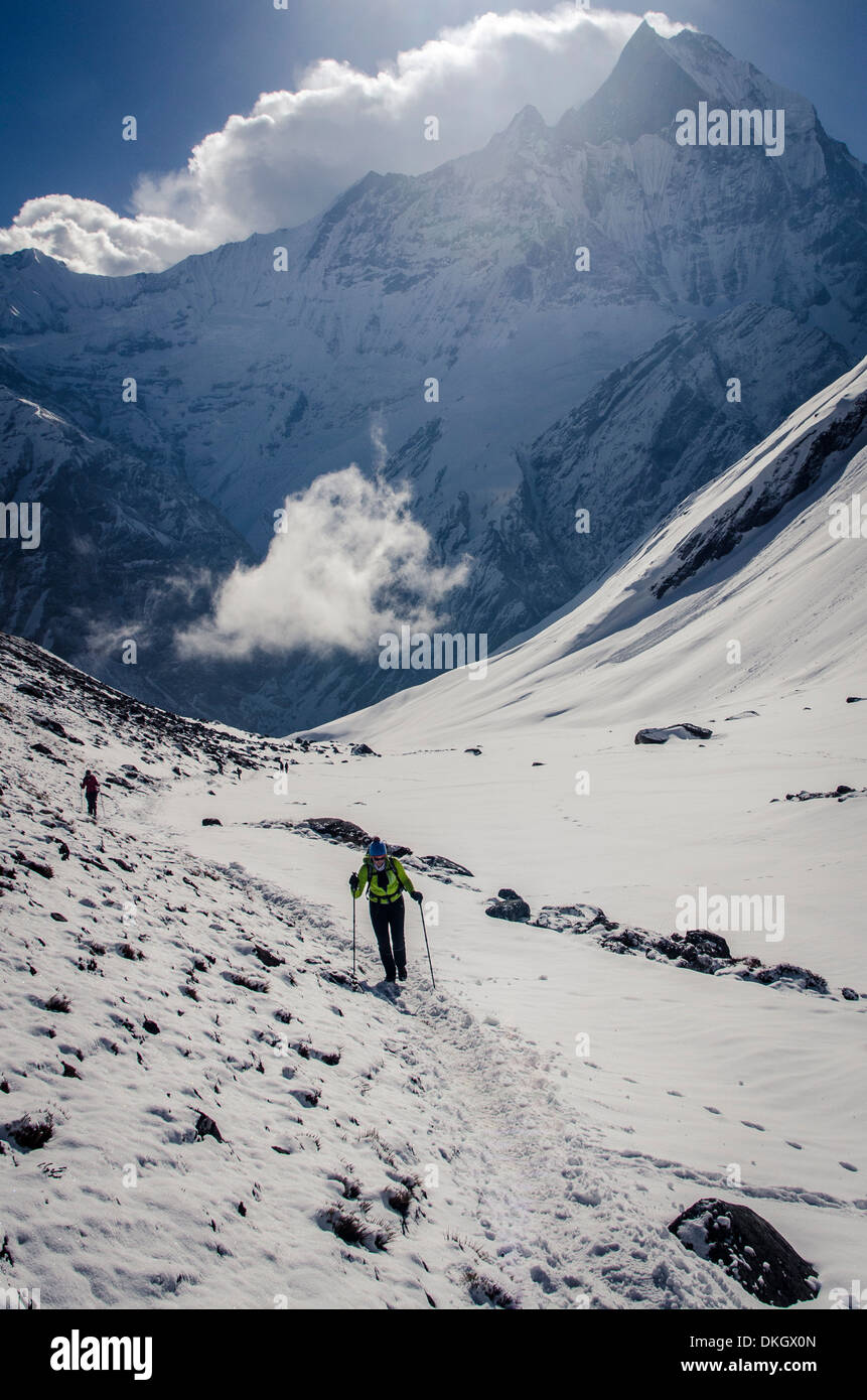 Un randonneur monte la vallée de la modi Khola pour l'Annapurna, de l'Annapurna Conservation Area, Népal, Himalaya Banque D'Images