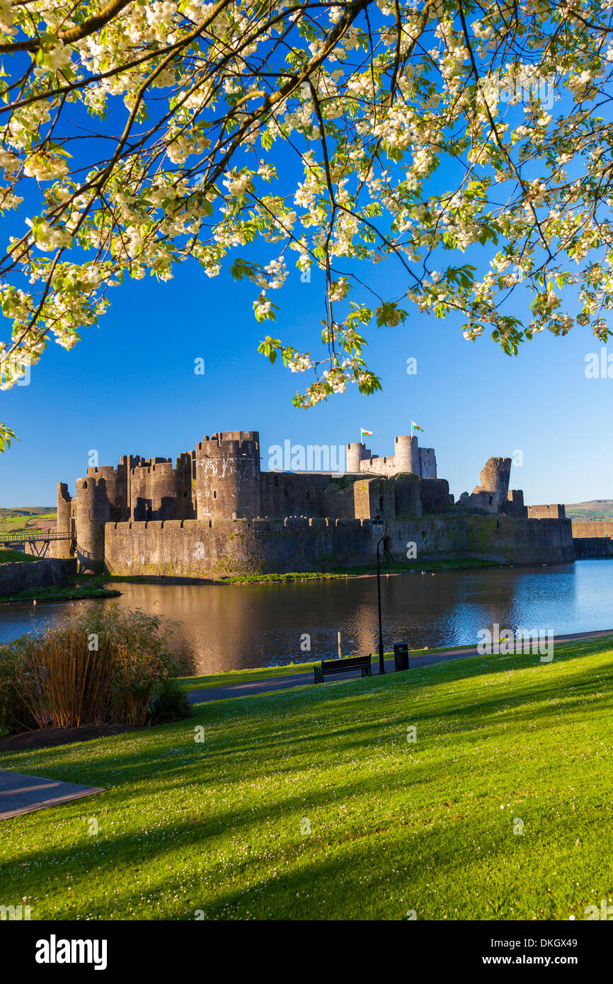 Château de Caerphilly, Gwent, au Pays de Galles, Royaume-Uni, Europe Banque D'Images