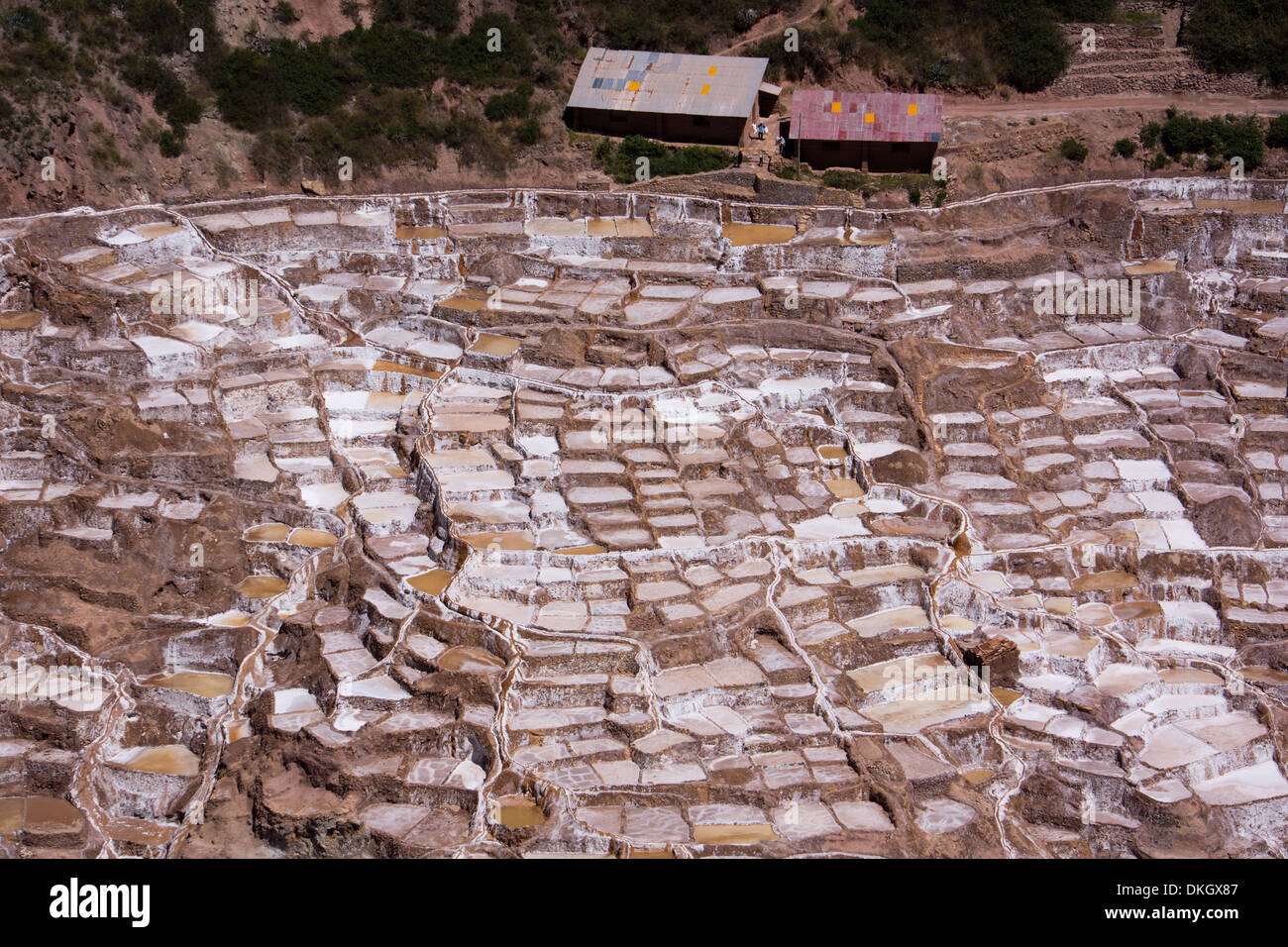 Les mines de sel de Las Salinas de Maras, où chaque petite parcelle est propriété individuelle, le Pérou, Amérique du Sud Banque D'Images
