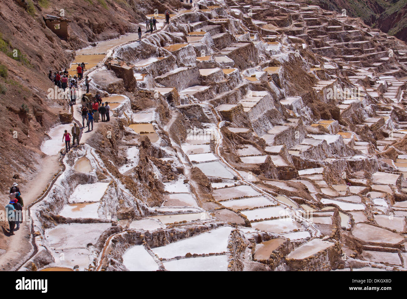 Les mines de sel de Las Salinas de Maras, où chaque petite parcelle est propriété individuelle, le Pérou, Amérique du Sud Banque D'Images