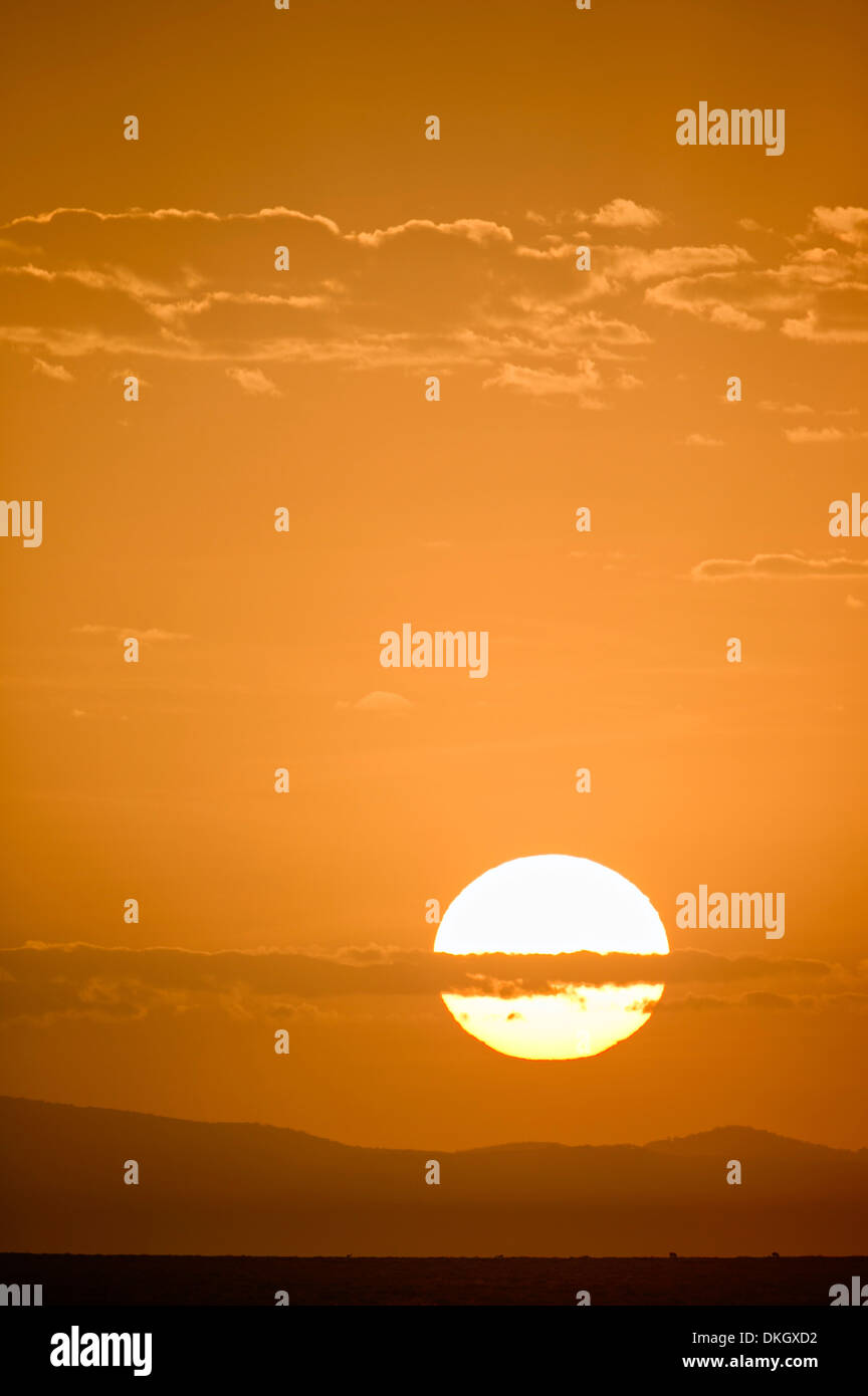 Le lever du soleil, le Parc National du Serengeti, Tanzanie, Afrique orientale, Afrique du Sud Banque D'Images