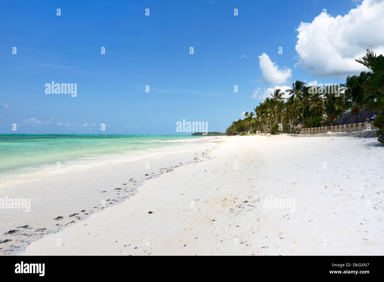 Plage de Bwejuu, Zanzibar, Tanzanie, Afrique orientale, Afrique du Sud Banque D'Images