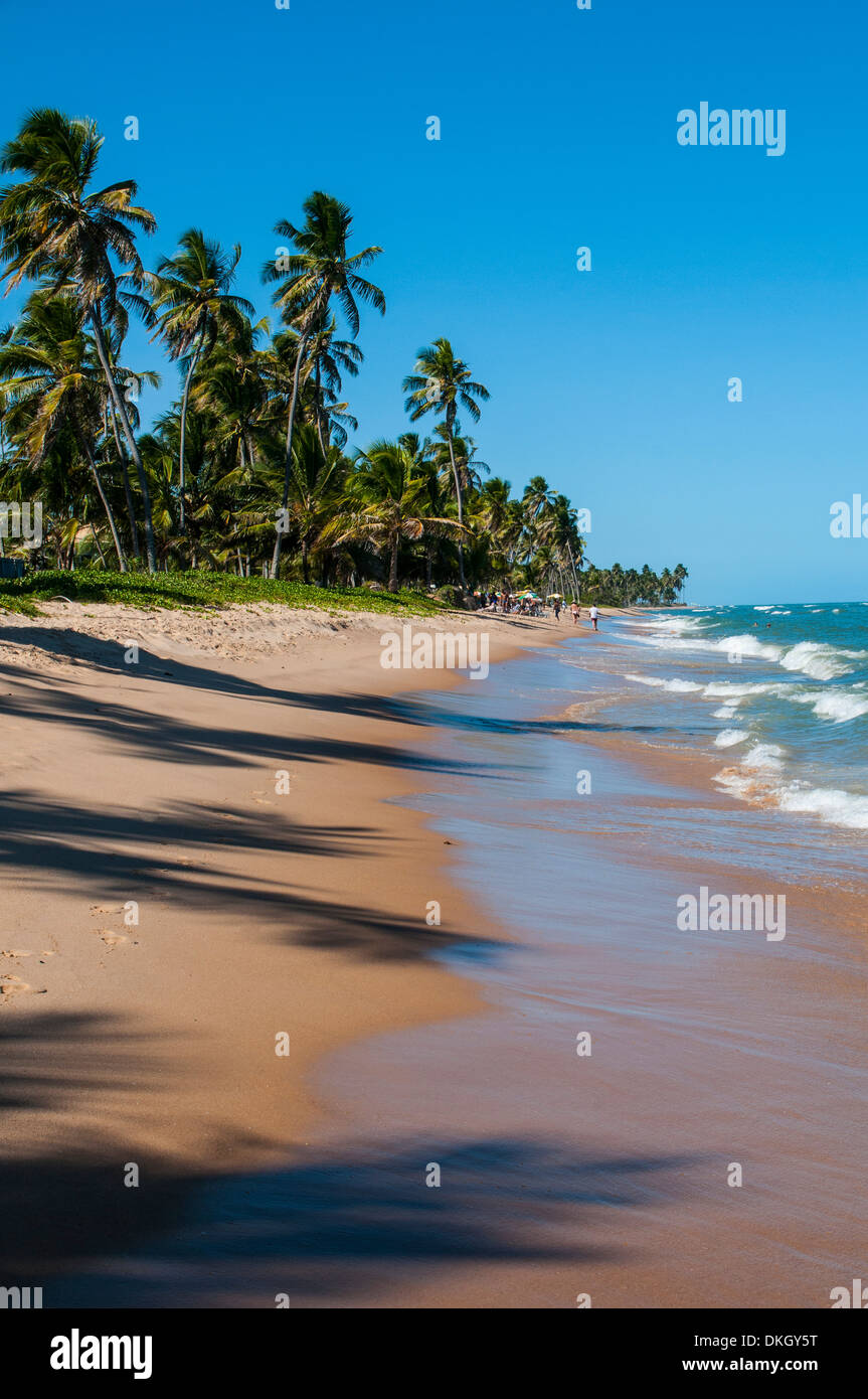 Plage tropicale à Praia do Forte, Bahia, Brésil, Amérique du Sud Banque D'Images