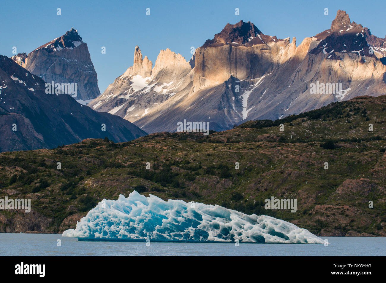 Iceberg sur Lago Grey Lake dans le Parc National Torres del Paine, Patagonie, Chili, Amérique du Sud Banque D'Images