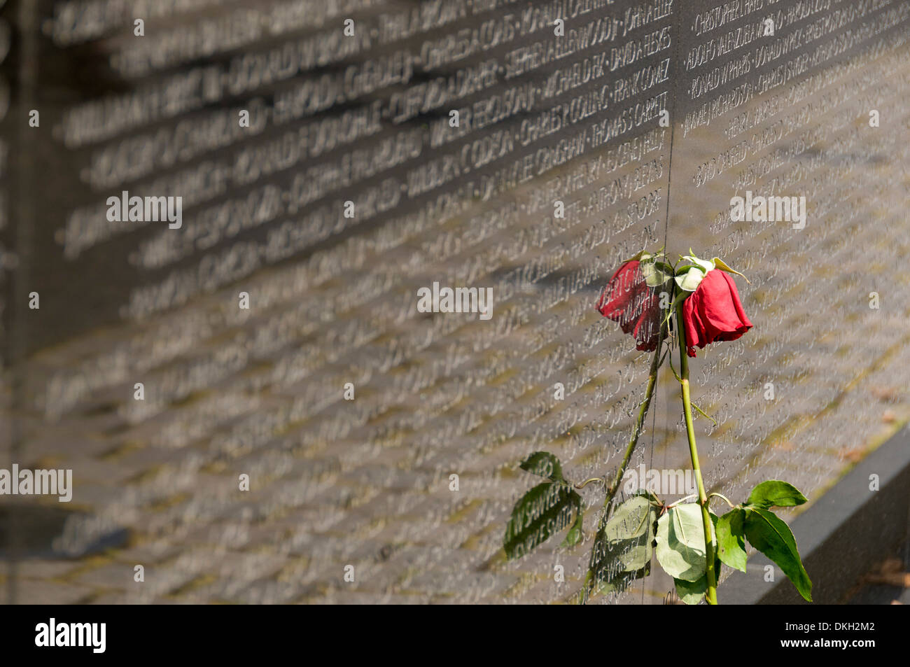 Guerre du Vietnam Veterans Memorial, Washington, D.C., États-Unis d'Amérique, Amérique du Nord Banque D'Images