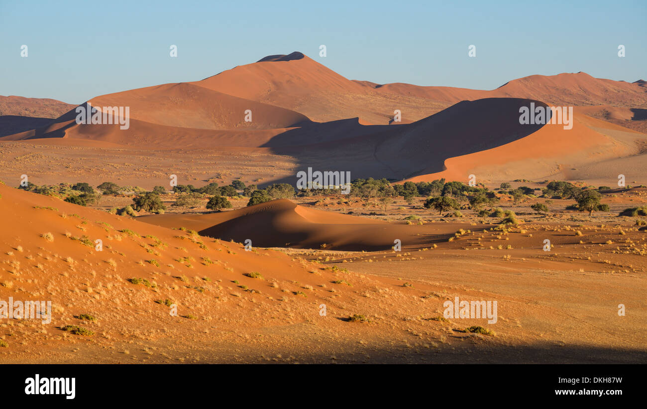 En regardant vers les dunes de Sossusvlei, avec deux petits chiffres sur l'arête inférieure de la dune, Namib Naukluft, Namibie, Afrique Banque D'Images
