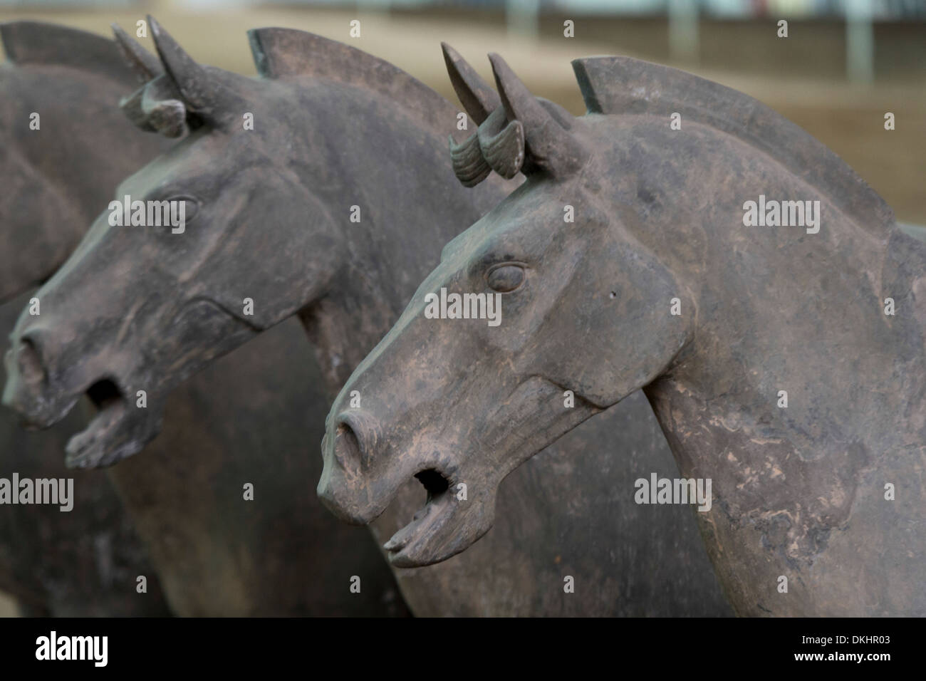 Chevaux en terre cuite Banque de photographies et d'images à haute