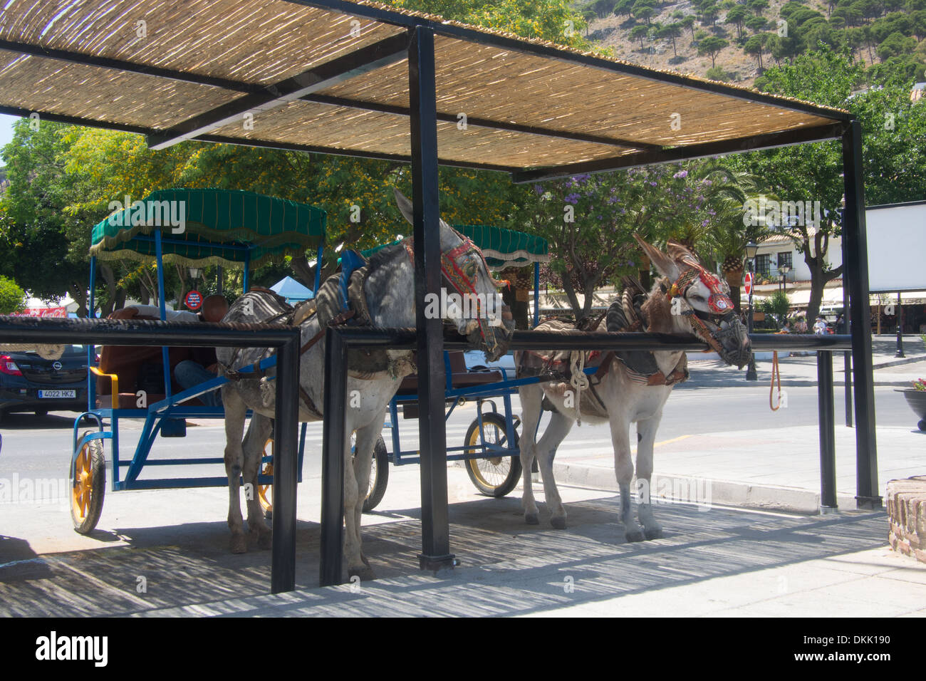 Mijas, mountain resort, célèbre pour ses ânes, Andalousie, Espagne Banque D'Images