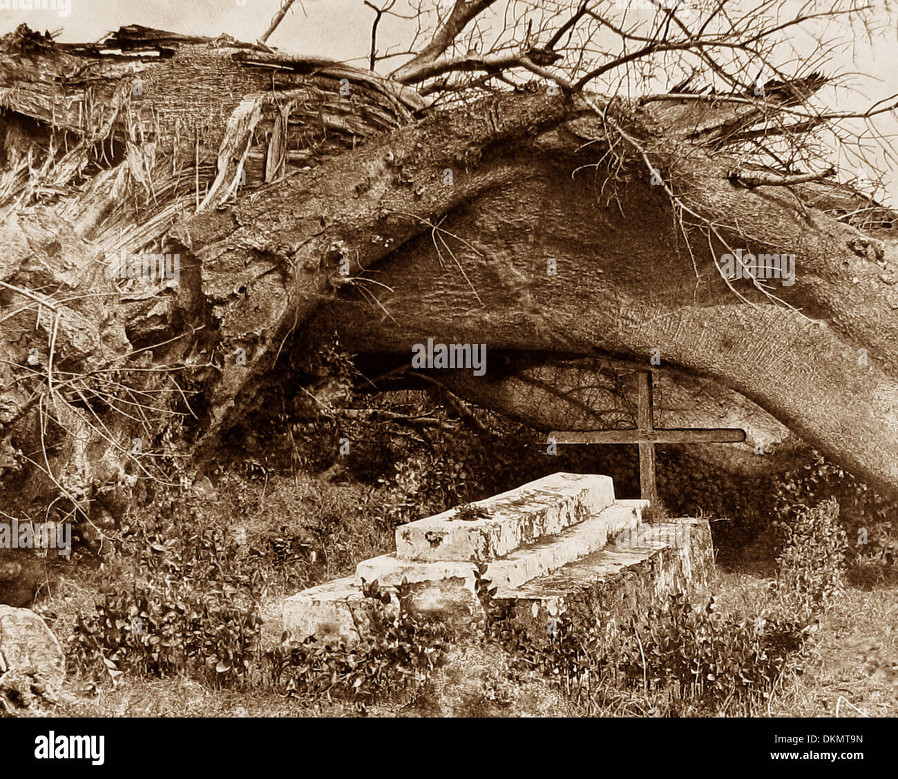 Afrique Chupanga tombe de Mary Livingstone pre-1900 Banque D'Images