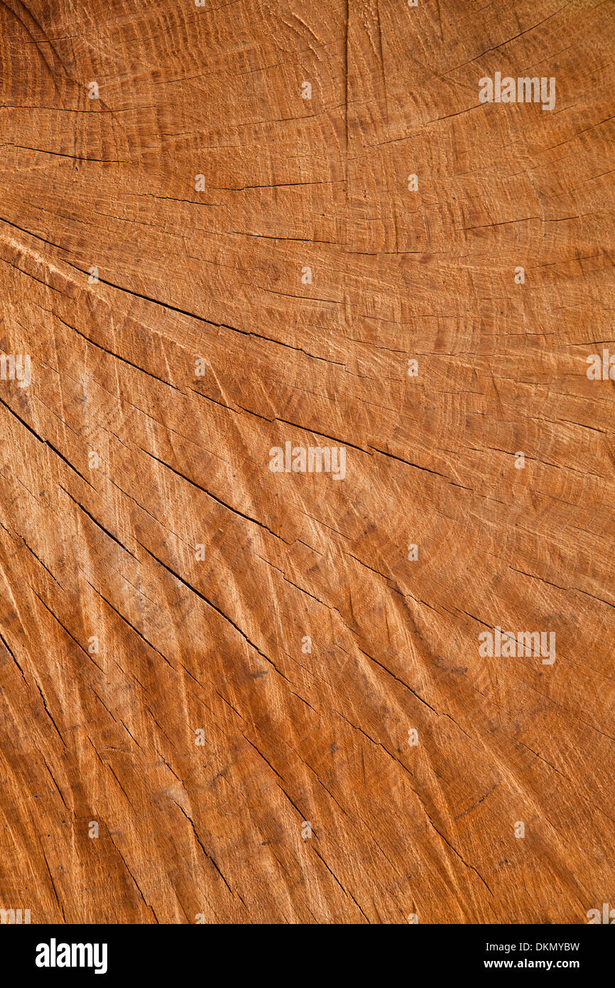 Brown fond de bois ou bois texture pattern Banque D'Images