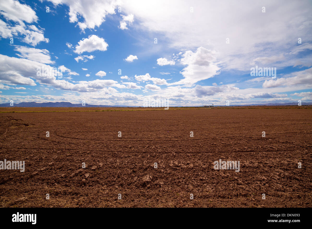 Champs de riz céréales en jachère après la récolte à l'Espagne Méditerranéenne Banque D'Images