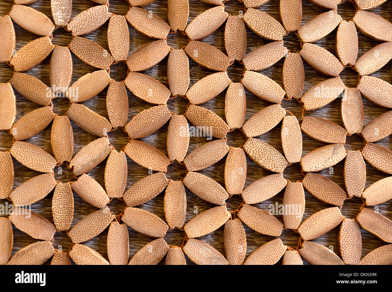 Fleur de beauté et vie de fond en bois Banque D'Images