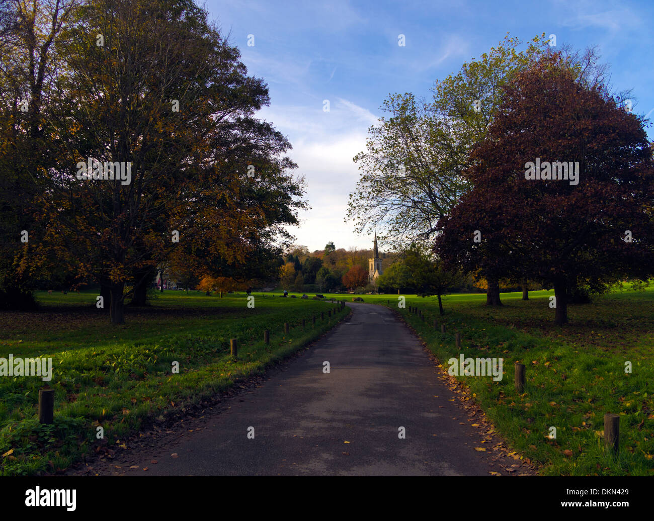 L'automne à Stanmer Park, Brighton, East Sussex, UK Banque D'Images