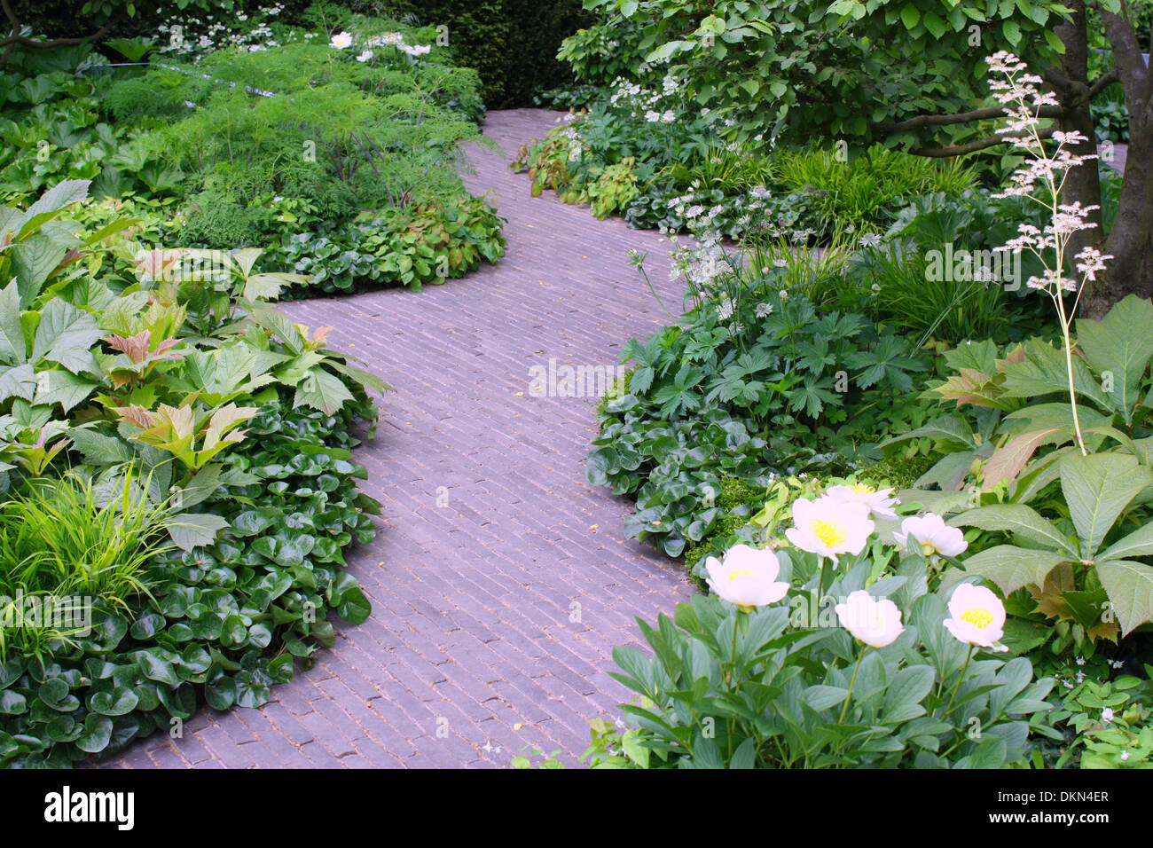 Pavage dans entre plantes vertes dans un jardin Banque D'Images