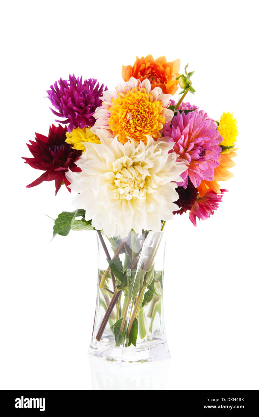 Bouquet de Dahlias dans verre vase isolé sur fond blanc Banque D'Images