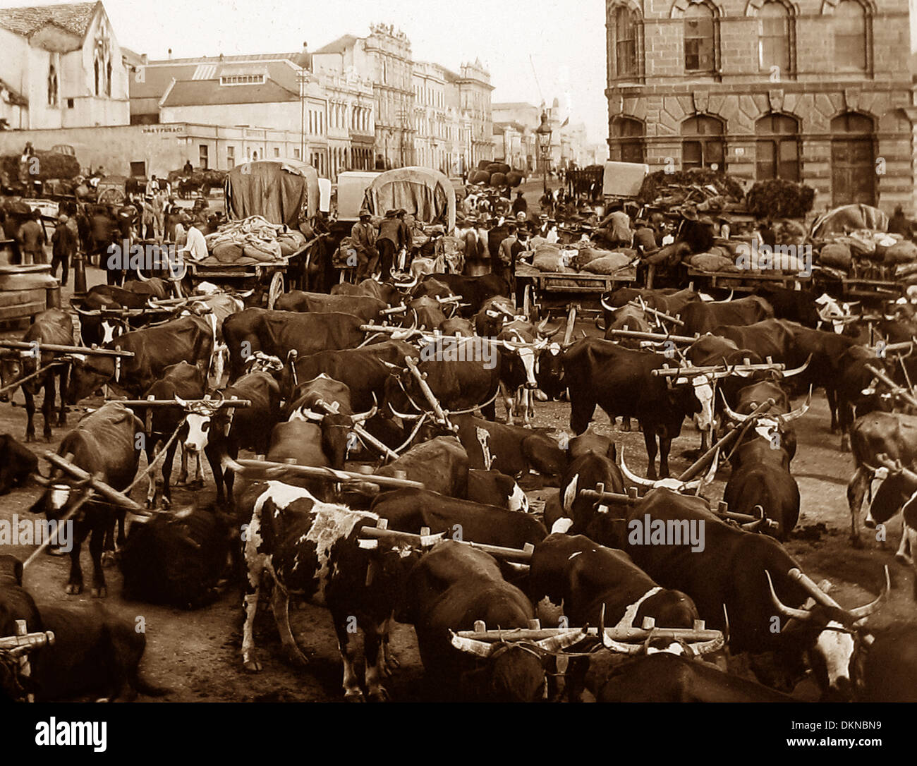 Afrique du Sud Port Elizabeth pre-1900 Banque D'Images