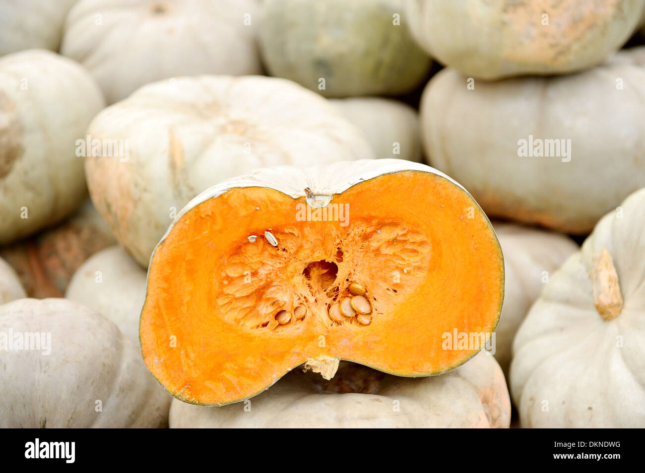 Libre avec une grande tranchée dans un marché de gros de citrouille Banque D'Images