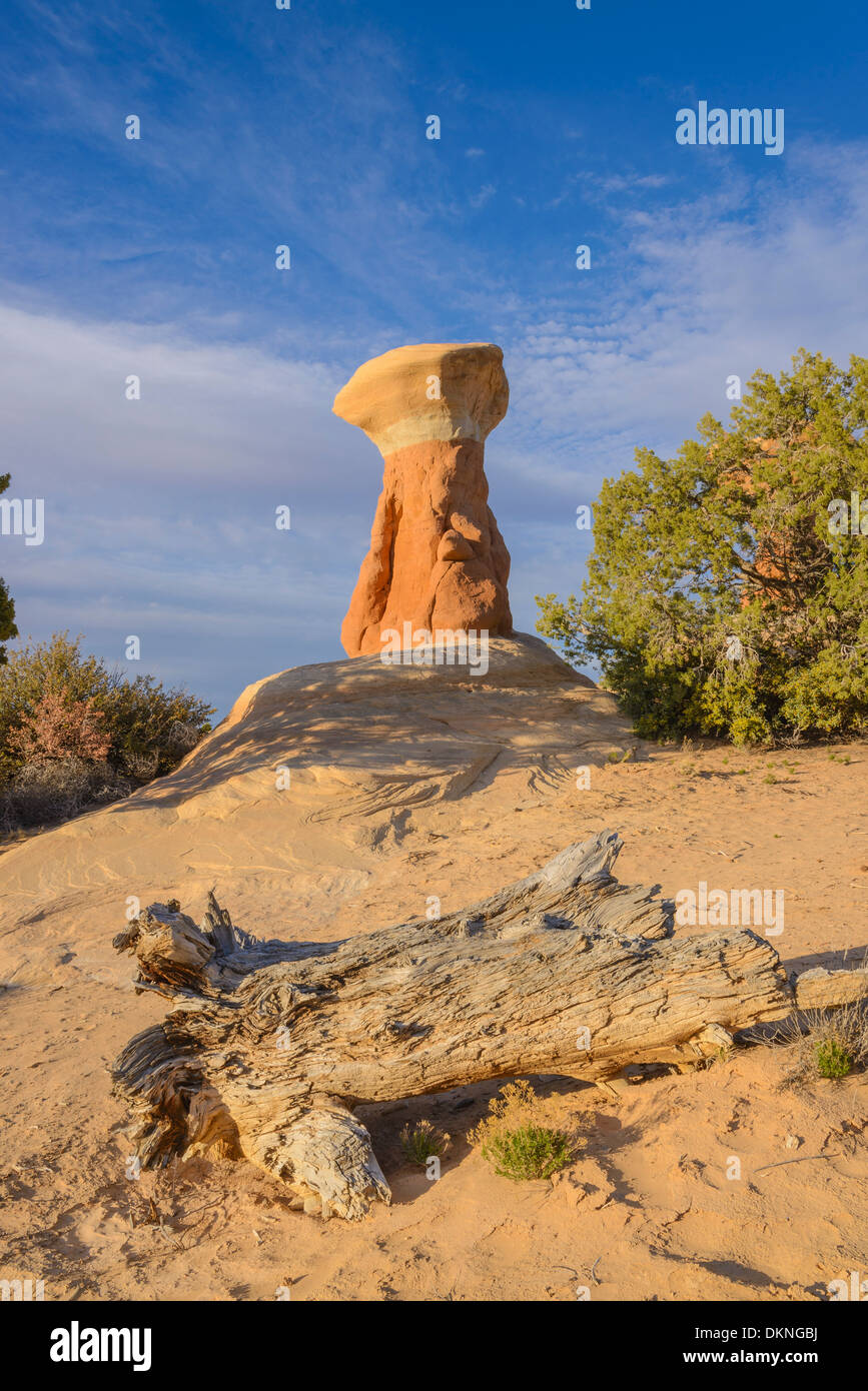 Cheminées, Devils Garden, Grand Staircase Escalante National Monument, Utah, USA Banque D'Images