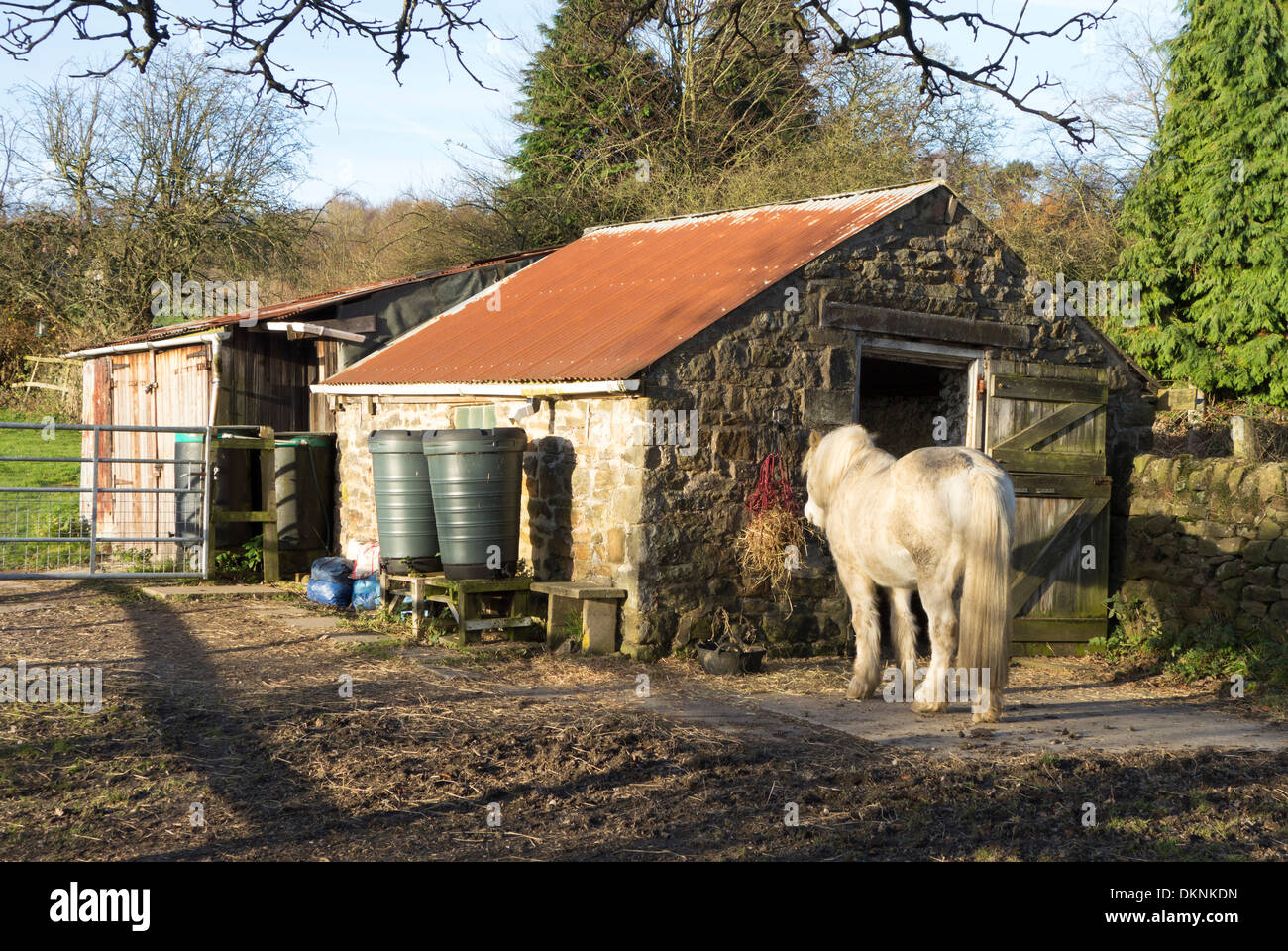 Un cheval et stable. Banque D'Images