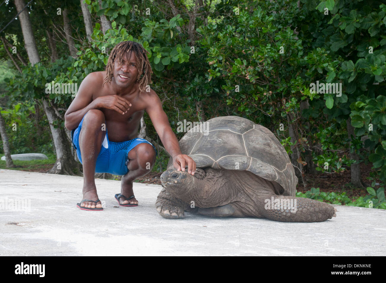 La tortue et de l'homme. Les Seychelles. La Dique Banque D'Images