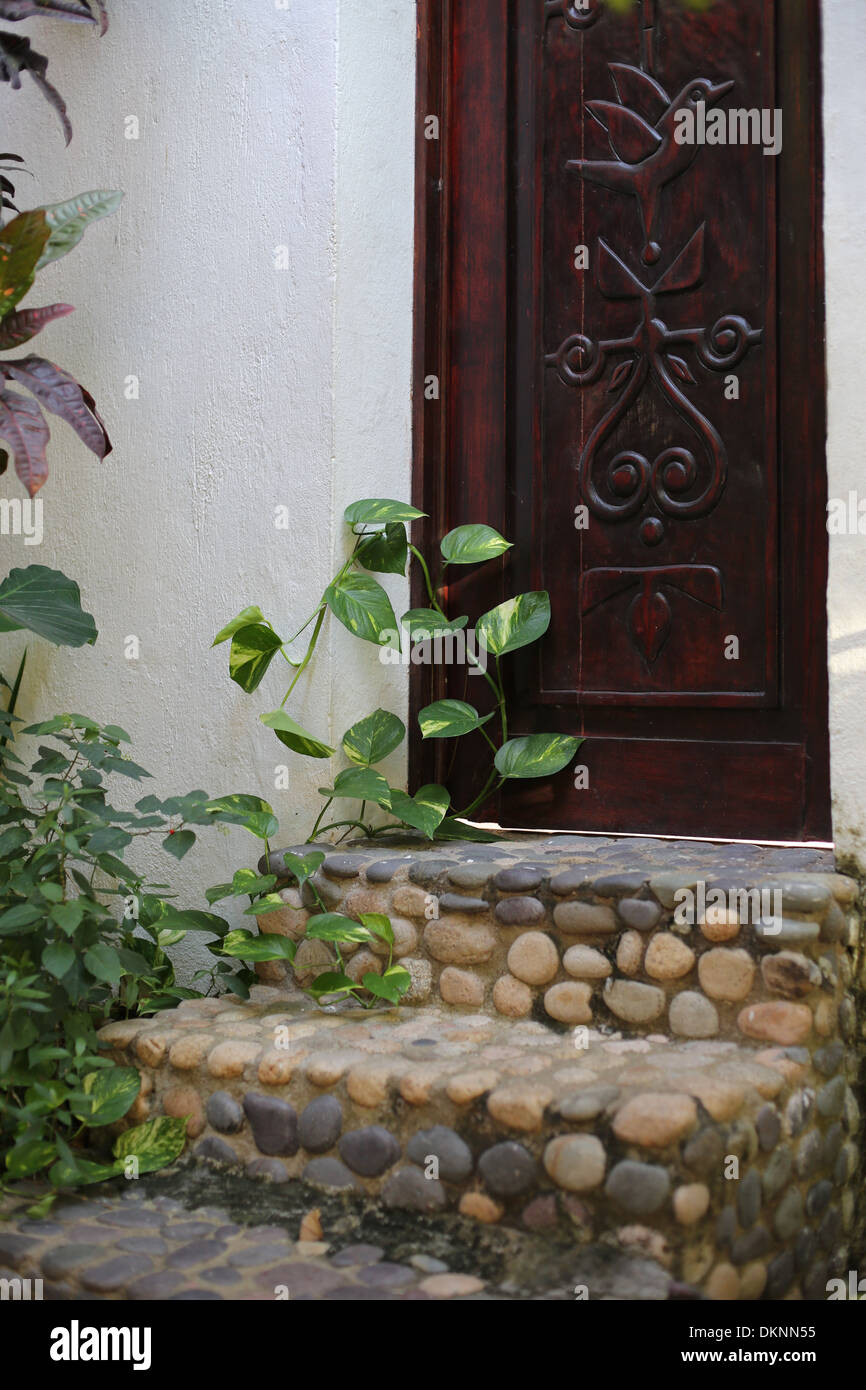 Une plante poussant dans une porte à Puerto Vallarta, au Mexique. Banque D'Images