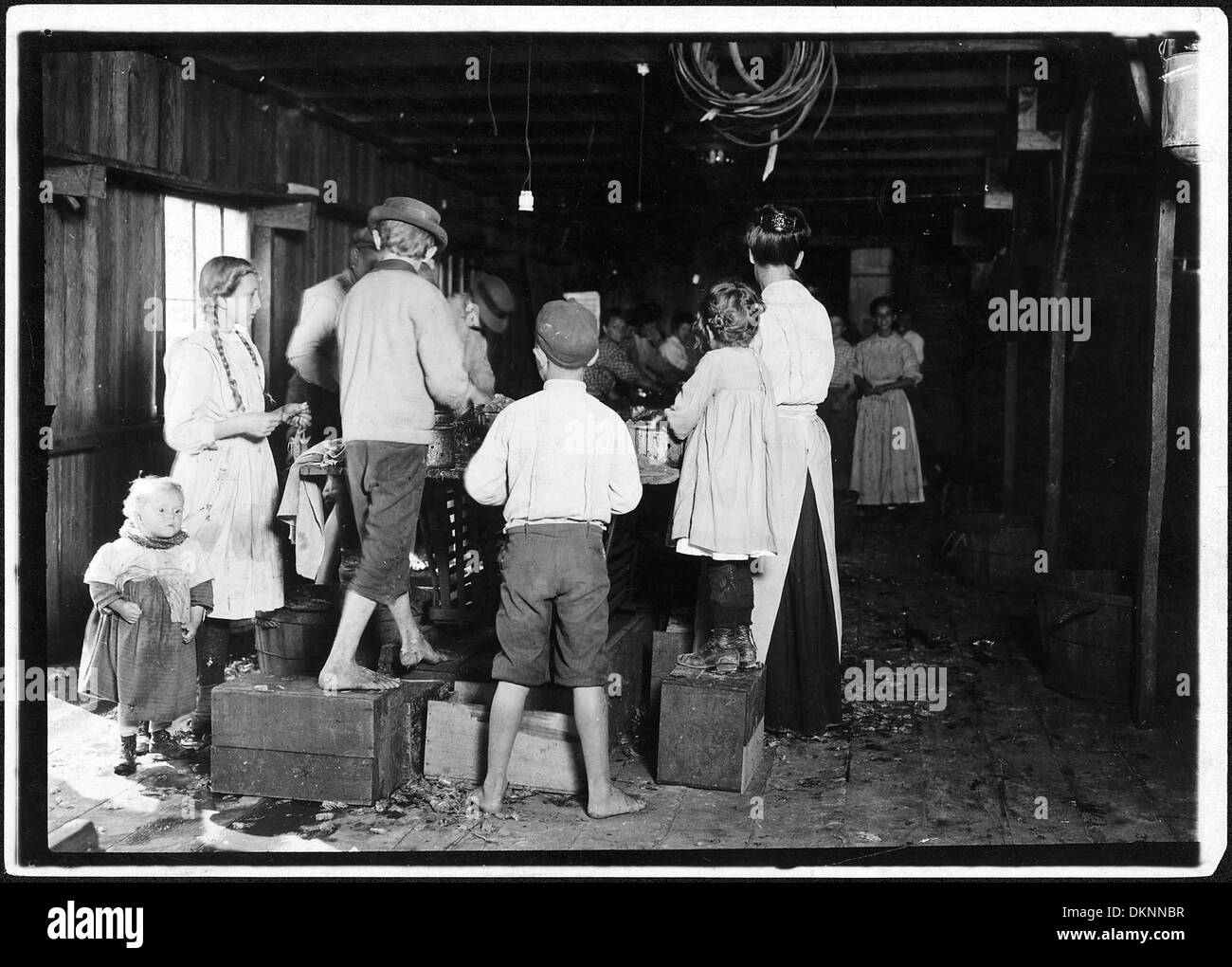 Sélection de groupe de crevettes. Olga, 5 ans sur la fin était d'aider sa mère. J'ai essayé d'obtenir sa photo à la maison lorsqu'ils... 523409 Banque D'Images