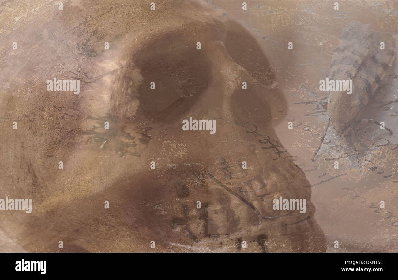 Grunge crâne avec une espèce d'amphibien sur script Banque D'Images