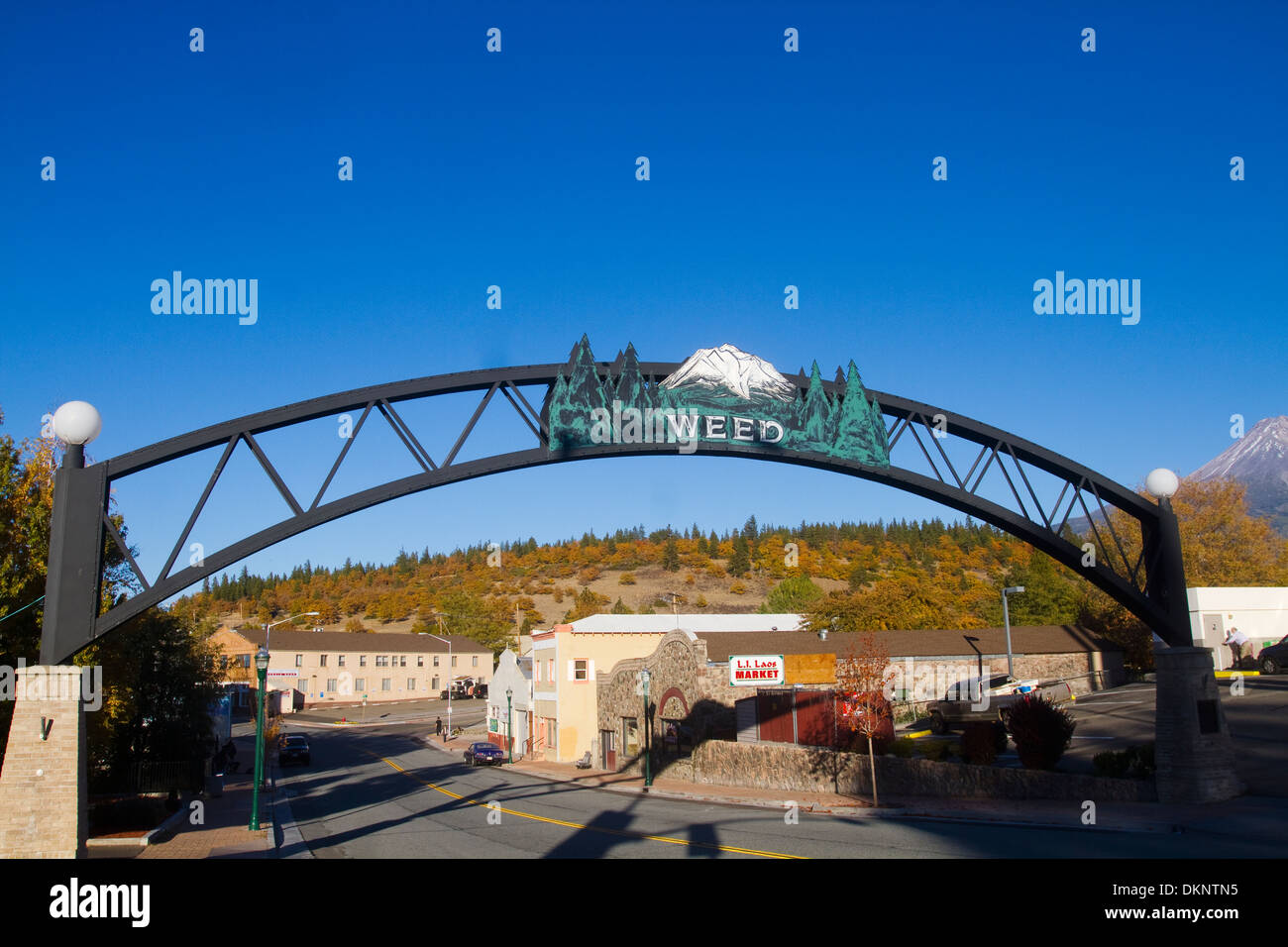 Mauvaises herbes Arch Bienvenue California USA Banque D'Images