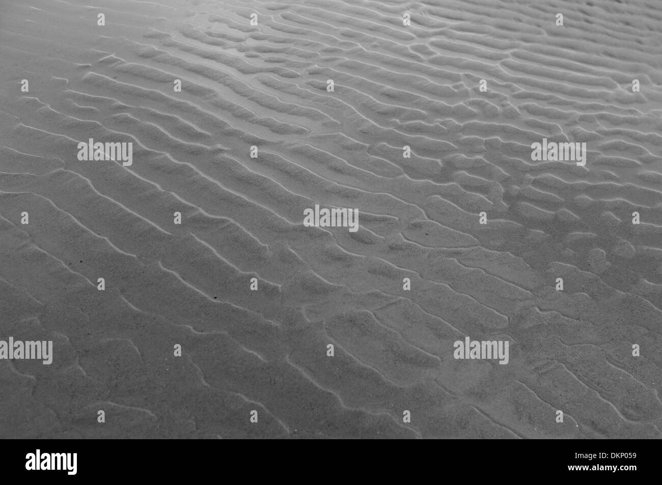 Ondulations sur une plage de sable mouillé Banque D'Images