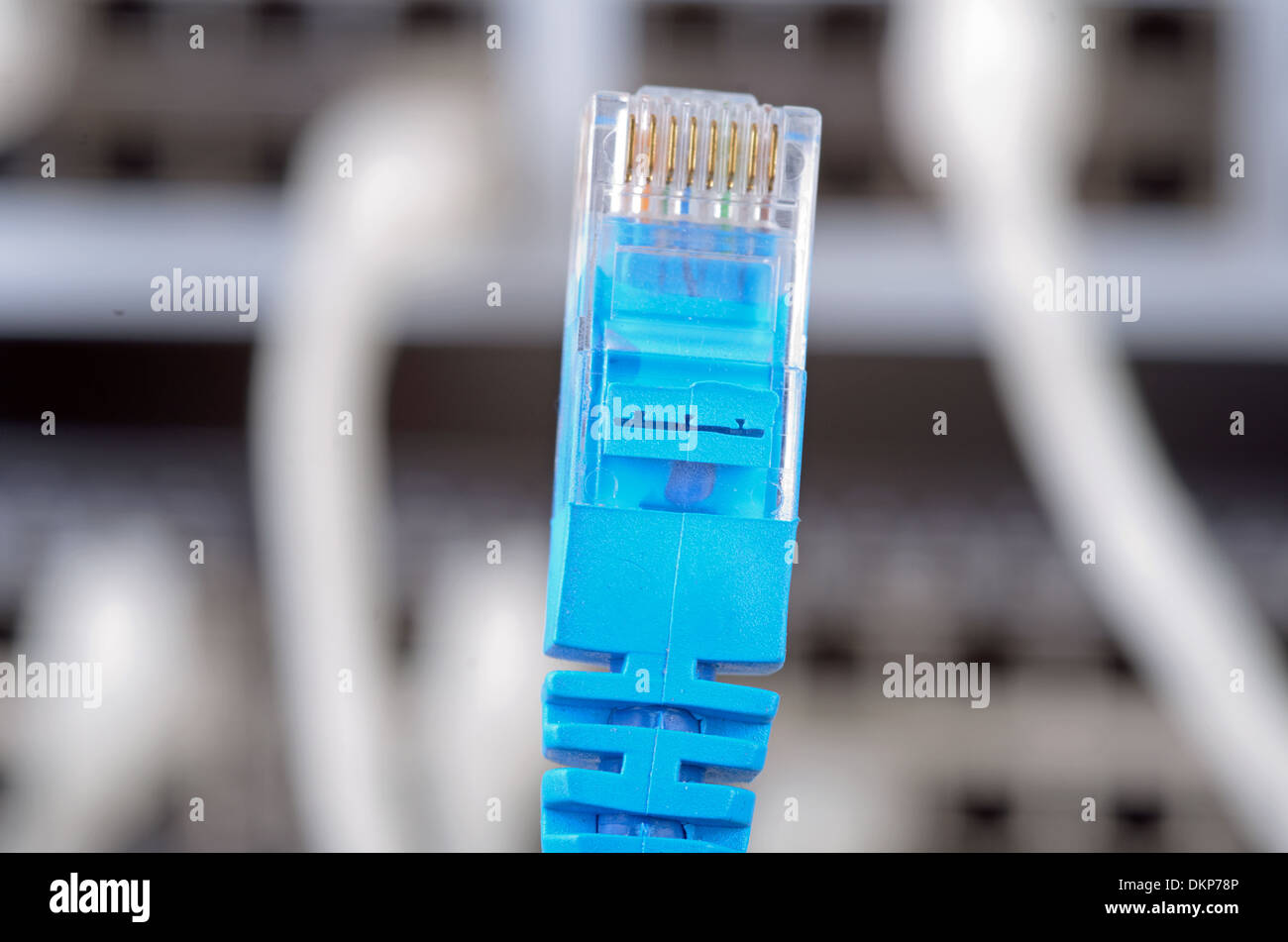 Photo de gros serveur et fils. Banque D'Images