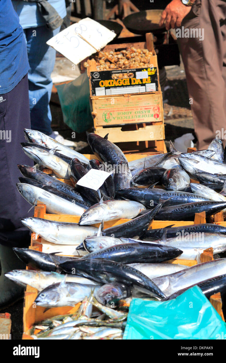 Des poissons et fruits de mer, Catane, Sicile, Italie Banque D'Images