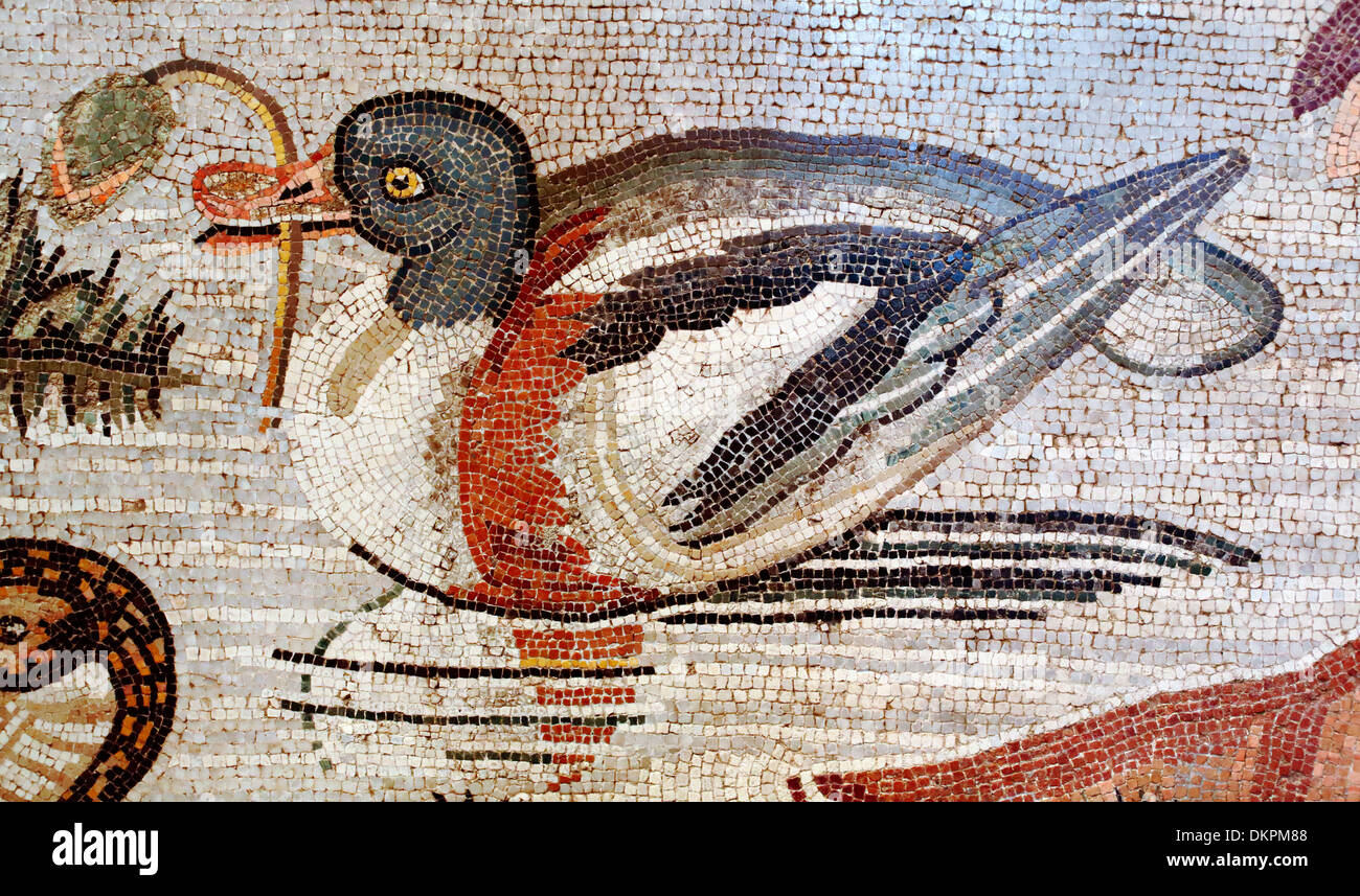 Scène de la faune du Nil, de la mosaïque Maison du Faune, Pompéi (120 BC) Banque D'Images