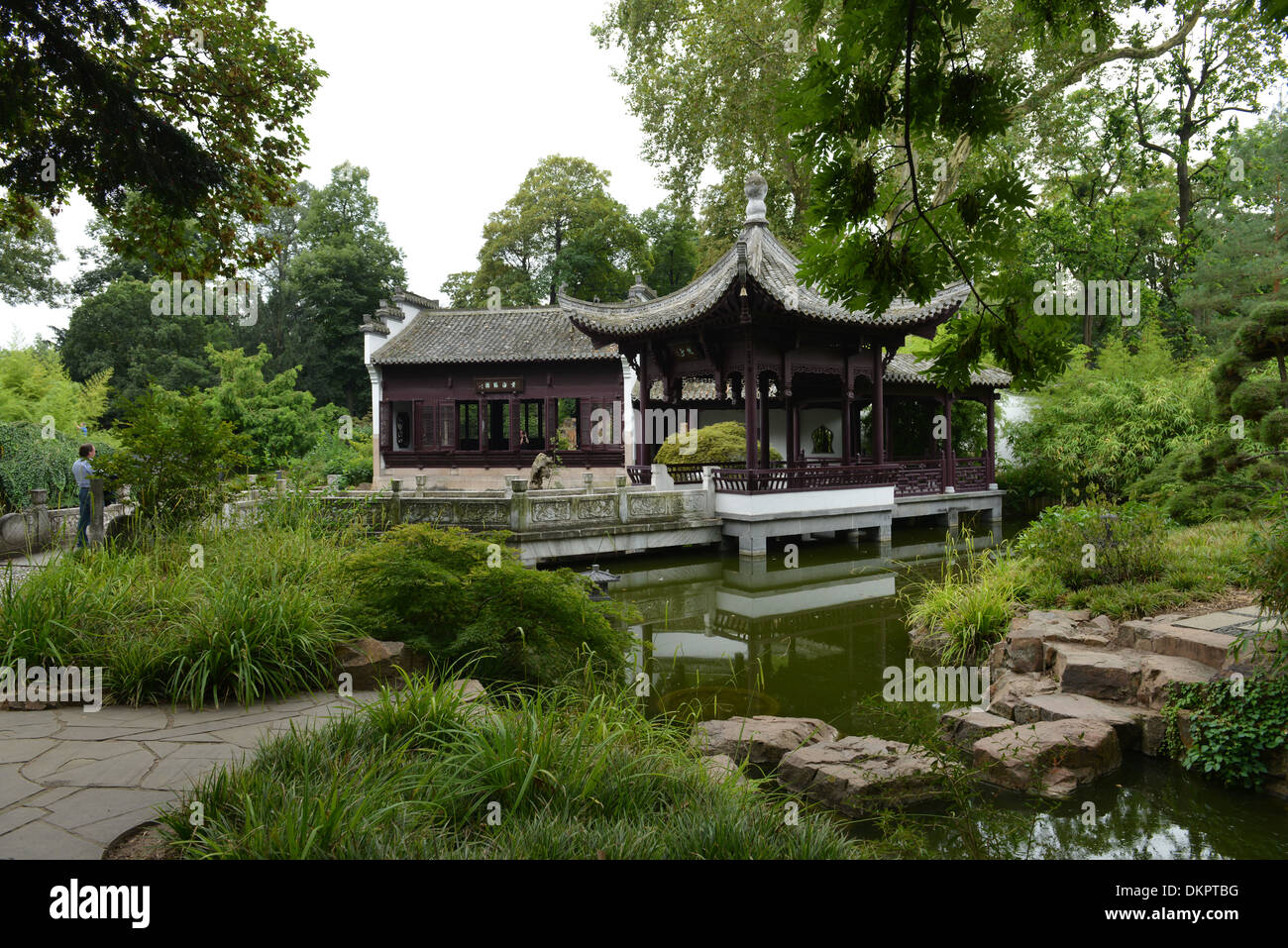 Chinesischer Garten, Bethmannpark, Frankfurt am Main, Hessen, Allemagne Banque D'Images