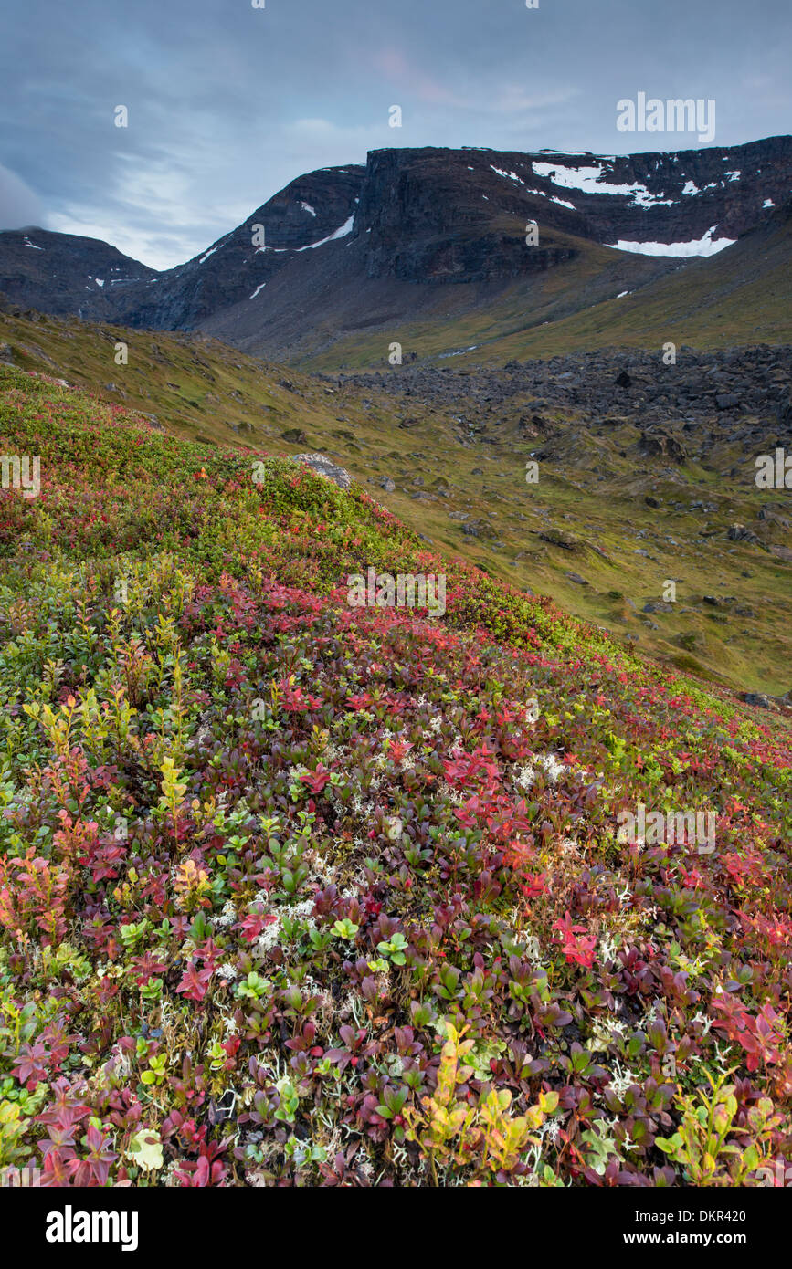 Europe Skanden Kärkevagge Laponie du Nord de l'Europe Suède Scandinavie alpine mountain paysage de montagne paysage de montagne Banque D'Images