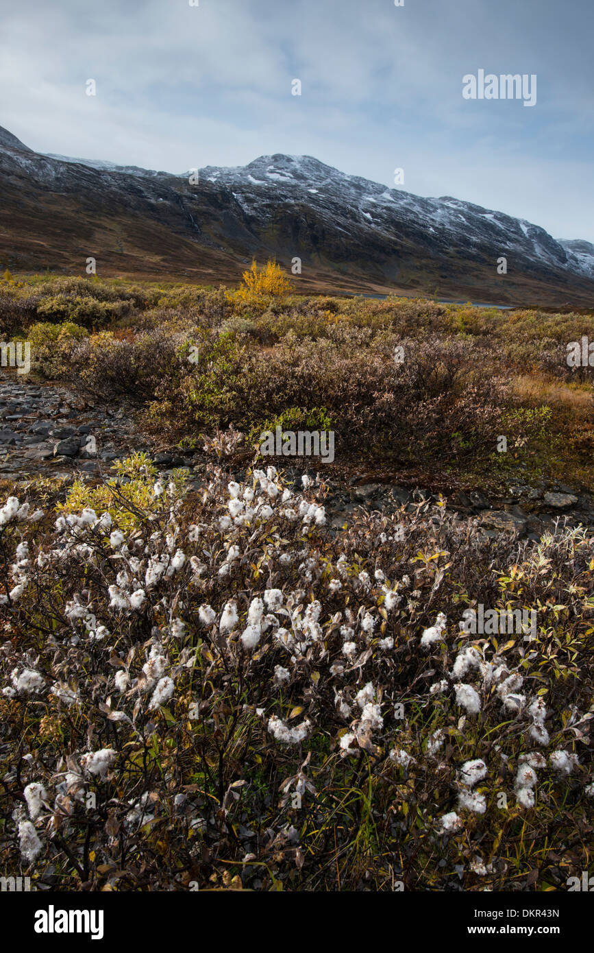 Europe Karsavagge Skanden l'Europe du Nord Scandinavie Suède Laponie paysage de montagne montagne paysage de montagne Banque D'Images