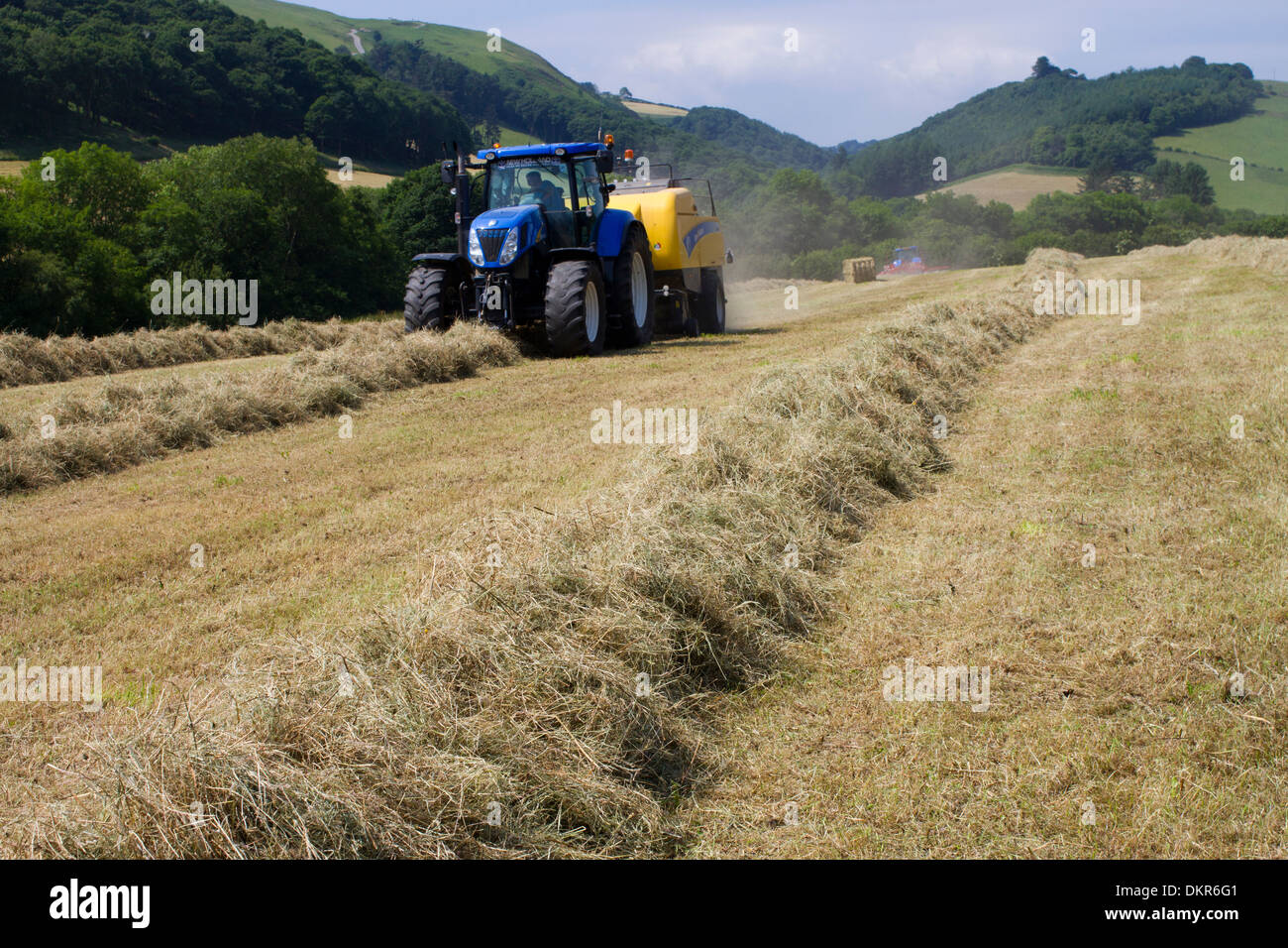Entrepreneur avec un tracteur New Holland T7040 New Holland et un big-balles de foin en balles sur une ferme biologique. Banque D'Images