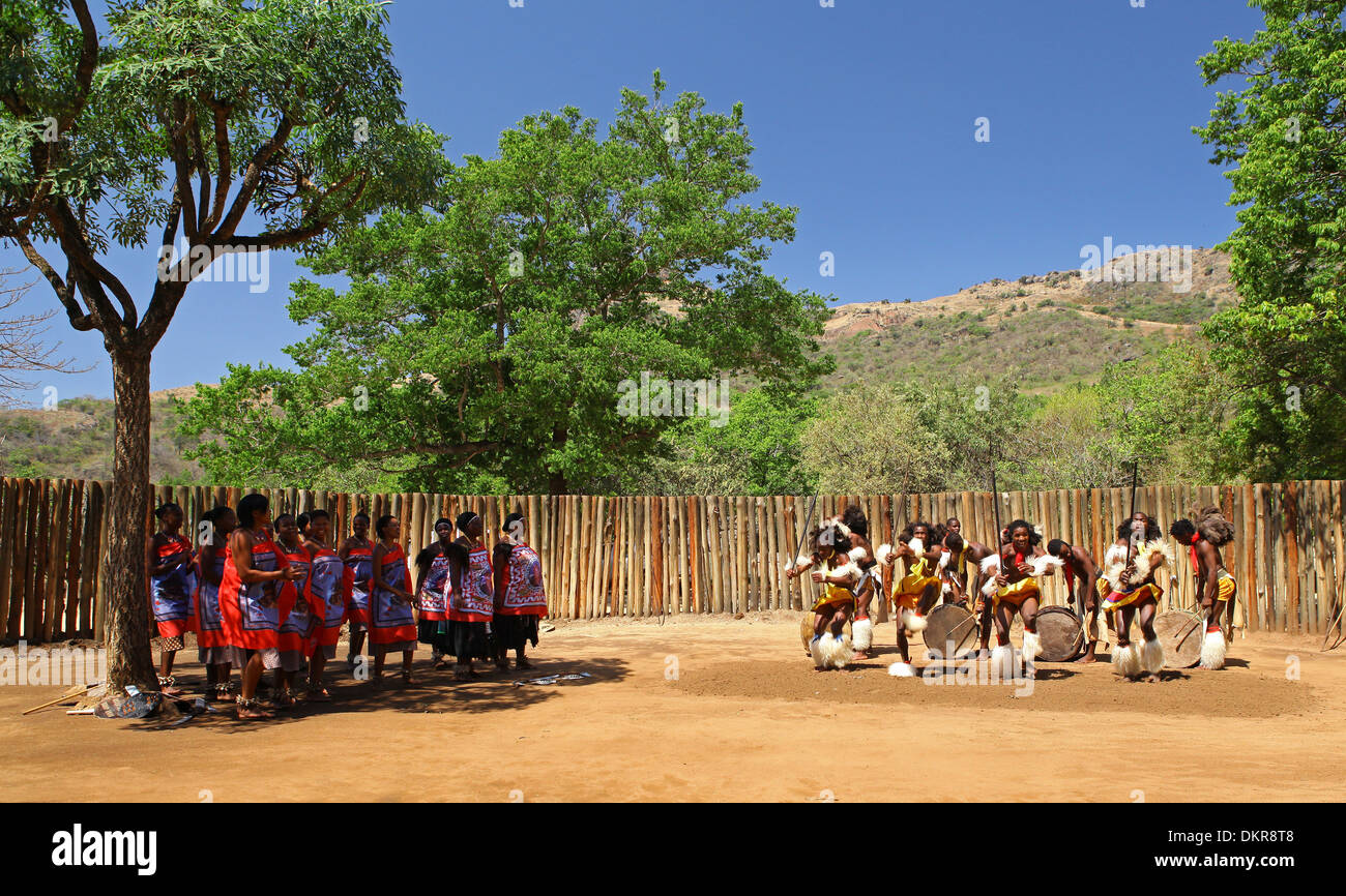 Sibhaca, danse, Swazi, culturel, Village, village d'Ezulwini, Swaziland, Afrique, Banque D'Images