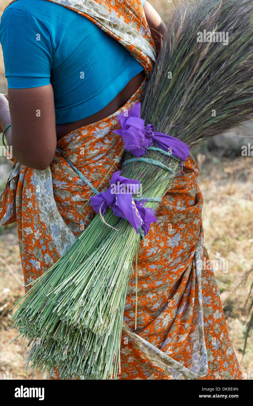 Les femmes indiennes la collecte de l'herbe de la campagne de faire des balais. L'Andhra Pradesh, Inde Banque D'Images