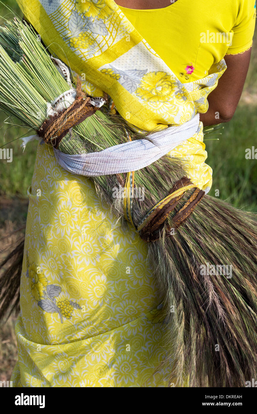Les femmes indiennes la collecte de l'herbe de la campagne de faire des balais. L'Andhra Pradesh, Inde Banque D'Images