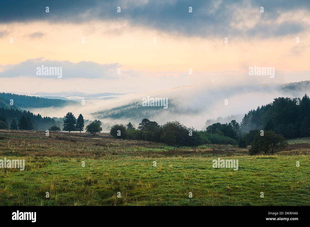 Neustadt Am Rennsteig, forêt de Thuringe, Kreis Ilm, Thuringe, Allemagne Banque D'Images