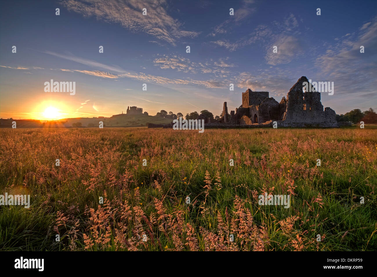 Rock of Cashel, comté de Tipperary, Irlande Banque D'Images