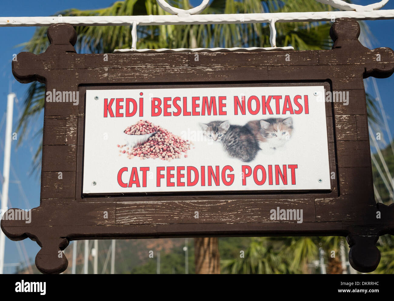 Point d'alimentation du chat à Marmaris en Turquie. Banque D'Images