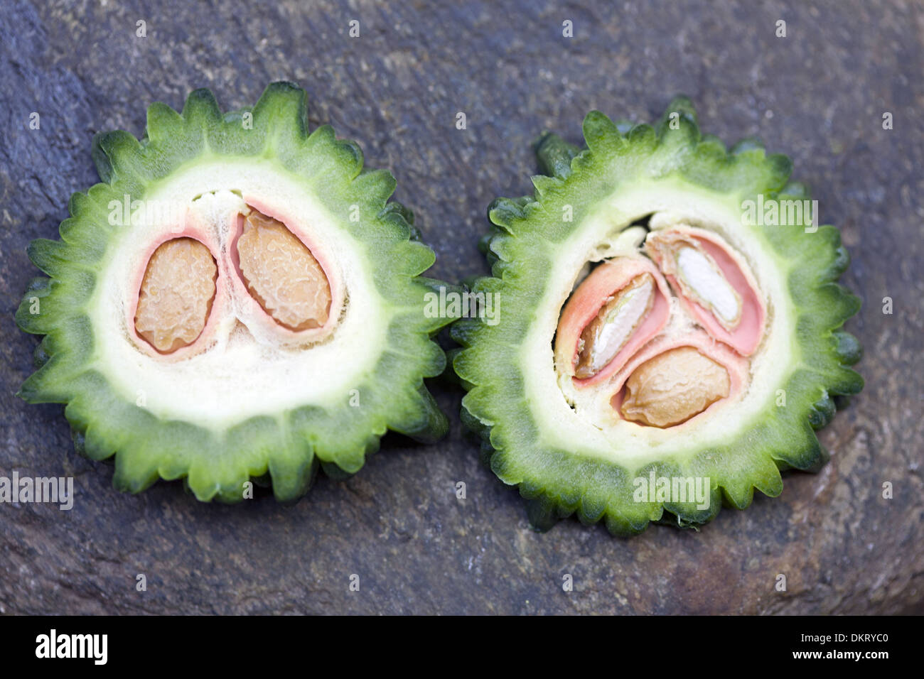 Tranches de melon amer Banque D'Images