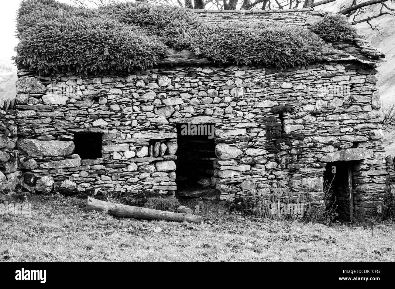Cabane de pierres près de Hayeswater Hartsop, près de Gill, Lake District, Cumbria Banque D'Images