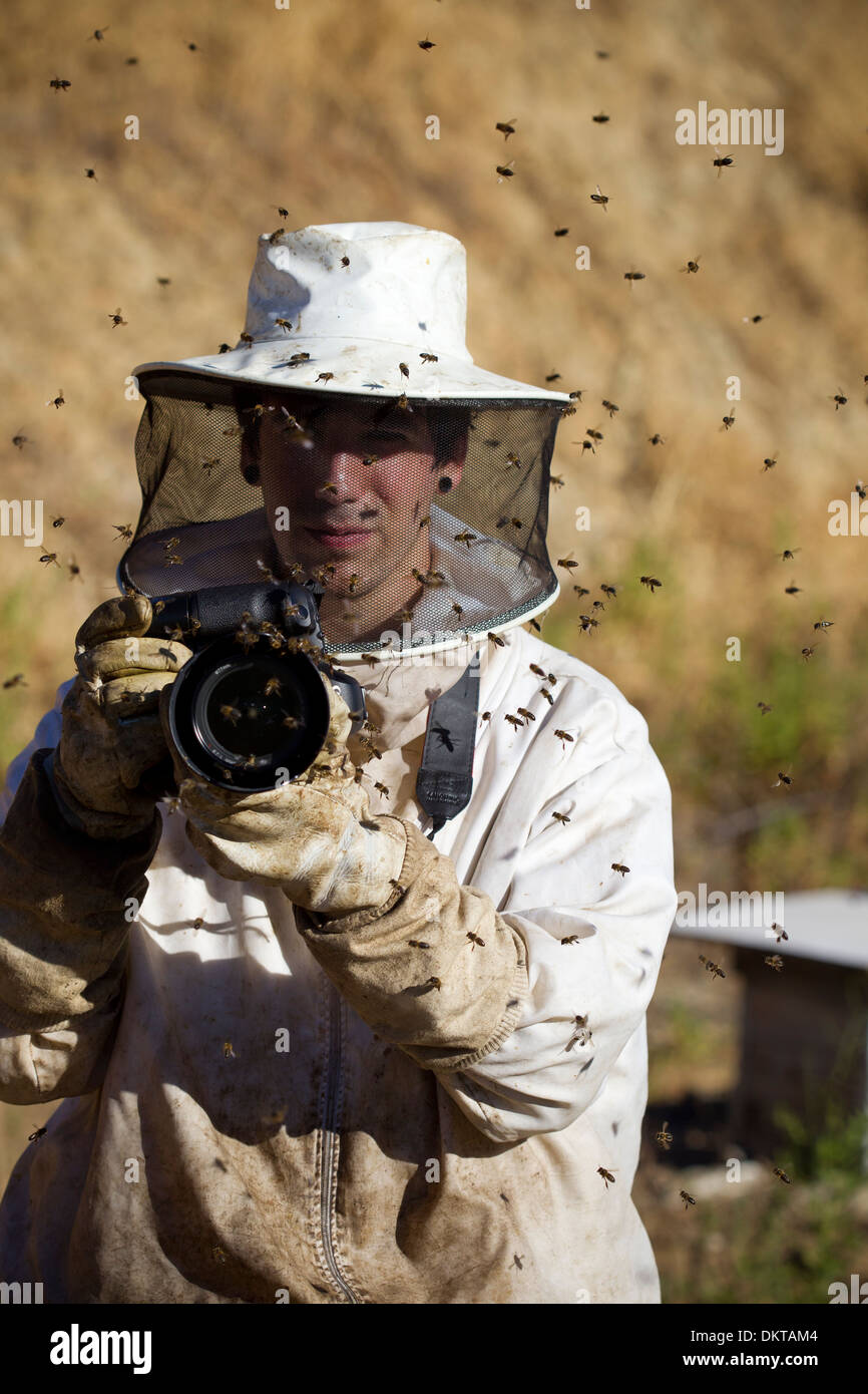 Photographie avec les vêtements de travail de l'apiculteur, entouré par les abeilles. Colmenar, la Axarquía, Málaga, Andalousie, Espagne Banque D'Images