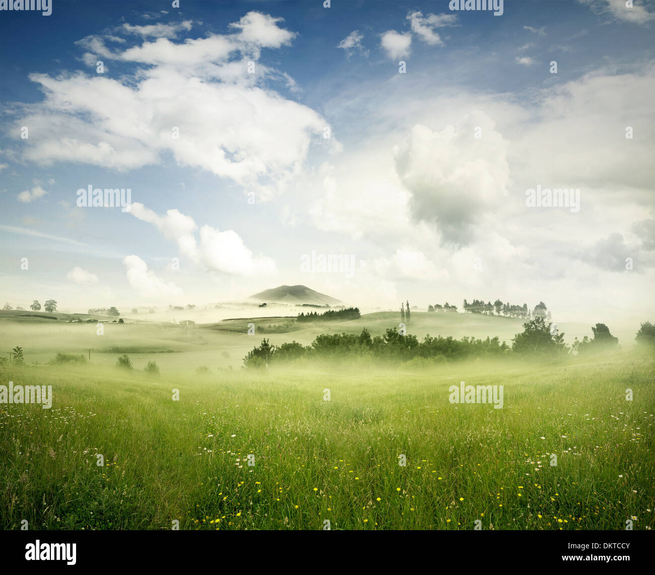 Belle prairie d'herbe en mode paysage Banque D'Images