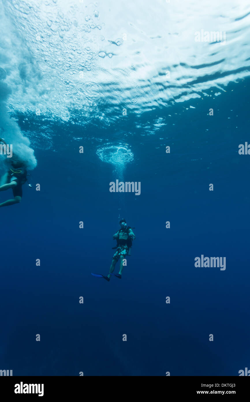 Les plongeurs descendent dans le Trou Bleu à Lighthouse Reef en mer des Caraïbes au large des côtes de l'Amérique centrale Belize Banque D'Images