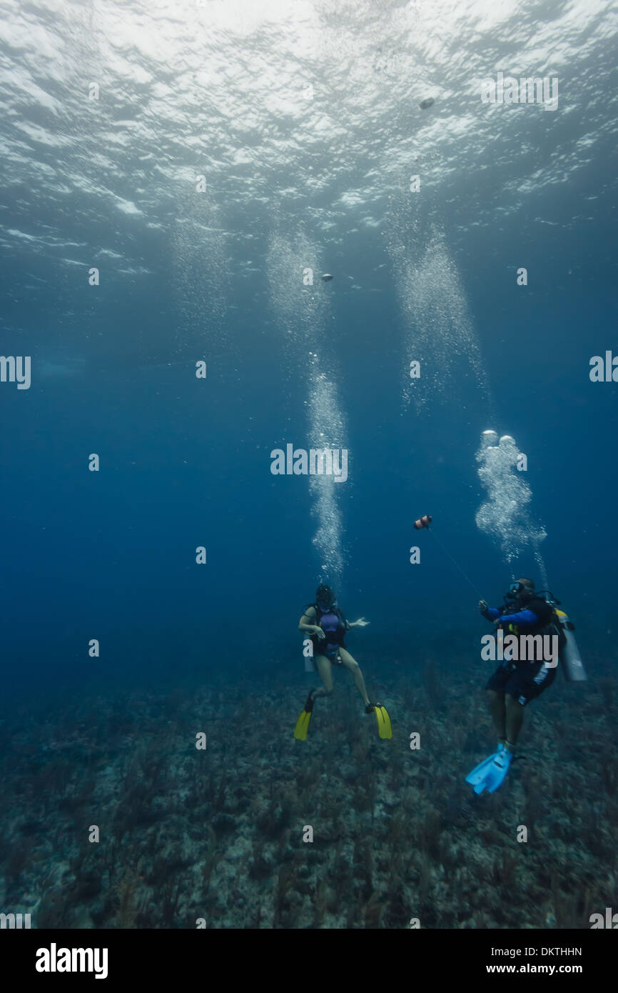Deux plongeurs explorent le récif corallien dans la réserve marine de Hol Chan, au Belize Banque D'Images